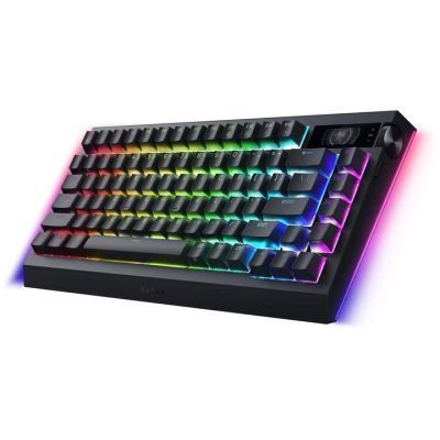 Клавиатура Razer (RZ03-05130300-R3E1) H00000457579 фото
