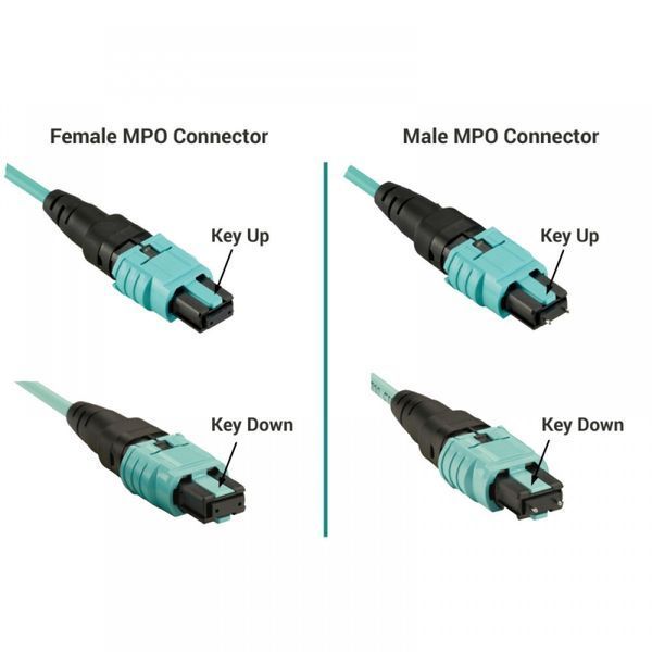 Патч-корд оптический CMS MPO-MPO UPC MM(OM3) Simplex 30м (UPCB-30MPOFMPOF(MM)8(ON)) H00000340694 фото