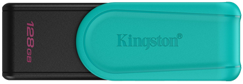 Флеш пам'ять USB Kingston (DTXS/128GB) H00000501176 фото