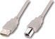 Кабель Atcom USB Type A - USB Type B 3 м USB 2.0 (8099_Atcom) H00000204050 фото 1