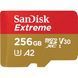Карта пам'яті SanDisk (SDSQXAV-256G-GN6MA) H00000325273 фото 1
