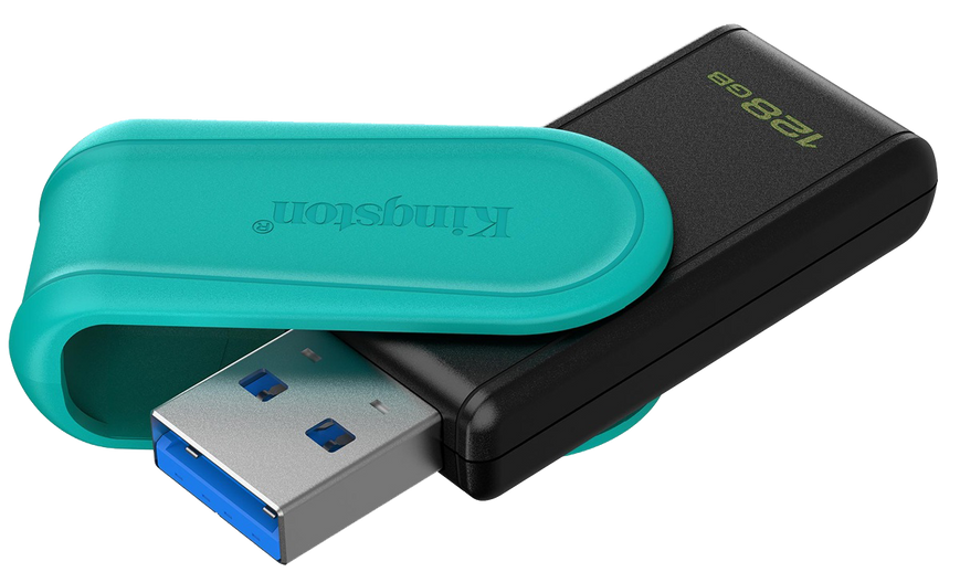 Флеш пам'ять USB Kingston (DTXS/128GB) H00000501176 фото