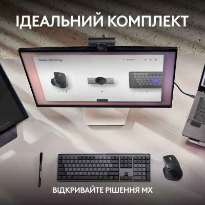 Веб камера Logitech (960-001559) H00000460574 фото