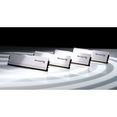 Оперативная память G.Skill (F5-6000J3040G32GX2-RM5RW) H00000441633 фото