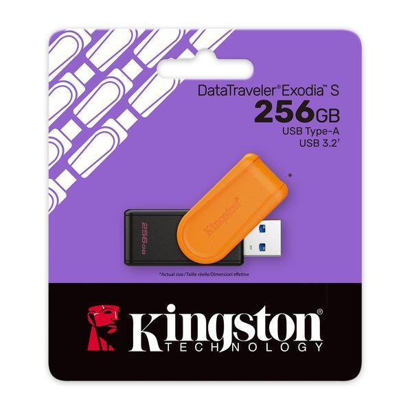 Флеш пам'ять USB Kingston (DTXS/256GB) H00000501177 фото