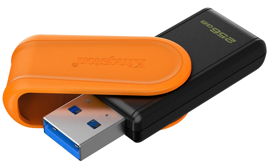 Флеш пам'ять USB Kingston (DTXS/256GB) H00000501177 фото
