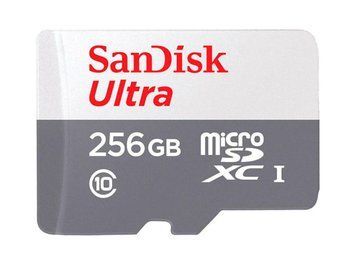 Карта памяти SanDisk (SDSQUNR-256G-GN3MN) H00000361081 фото