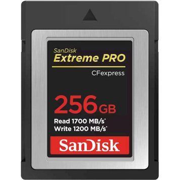 Карта памяти SanDisk (SDCFE-256G-GN4NN) H00000386106 фото
