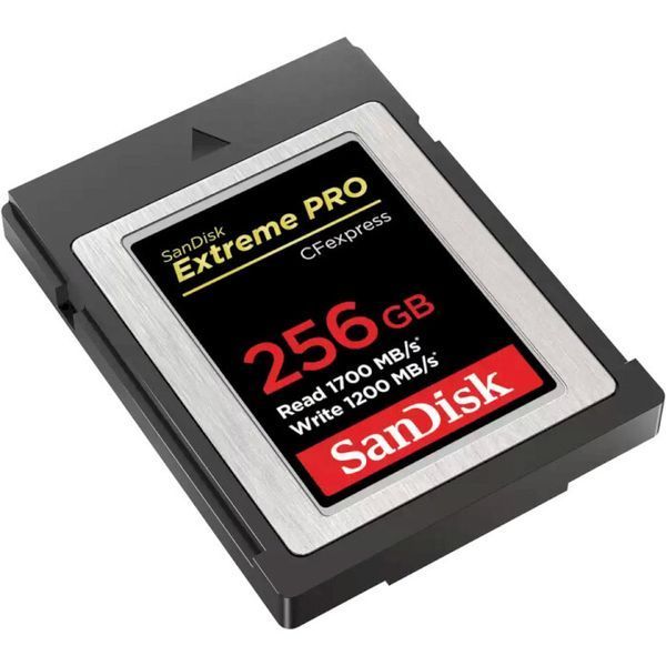 Карта памяти SanDisk (SDCFE-256G-GN4NN) H00000386106 фото