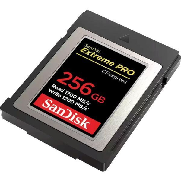 Карта памяти SanDisk (SDCFE-256G-GN4NN) H00000386106 фото