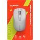 Миша Canyon (CNE-CMSW07W) H00000349821 фото 6