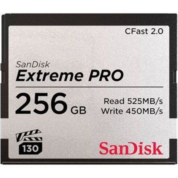 Карта памяти SanDisk (SDCFSP-256G-G46D) H00000386107 фото