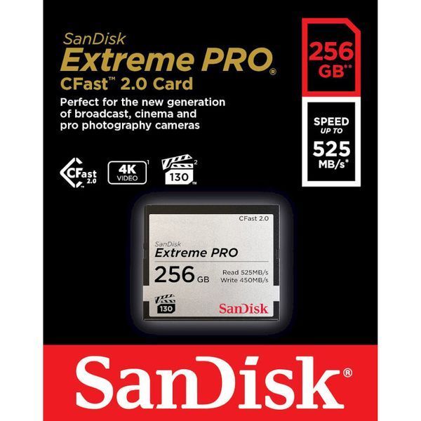 Карта памяти SanDisk (SDCFSP-256G-G46D) H00000386107 фото