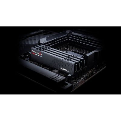 Оперативная память G.Skill (F5-6400J3239G32GX2-RS5K) H00000349090 фото
