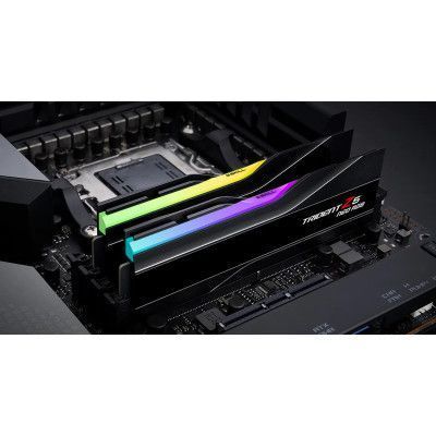 Оперативна пам'ять G.Skill (F5-6000J3636F16GX2-TZ5NR) H00000339804 фото