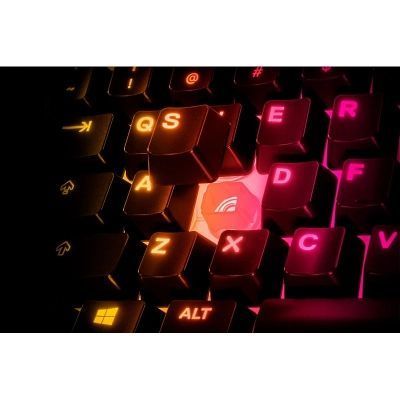 Клавиатура SteelSeries (64831) H00000426310 фото