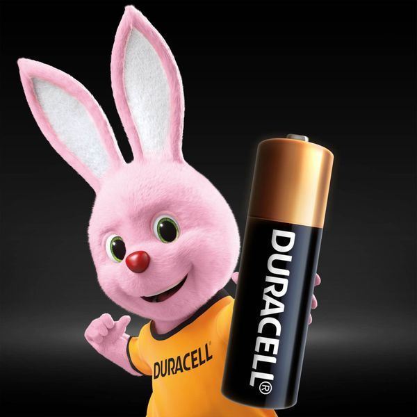 Батарейка Duracell (5007388) H00000392756 фото
