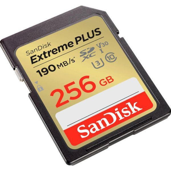 Карта памяти SanDisk (SDSDXWV-256G-GNCIN) H00000370703 фото