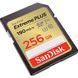 Карта памяти SanDisk (SDSDXWV-256G-GNCIN) H00000370703 фото 3