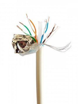 Кабель витая пара Cablexpert FTP Cat 6 PVC 4 х 2 х 0,50 (FPC-6004-L/100) H00000256975 фото