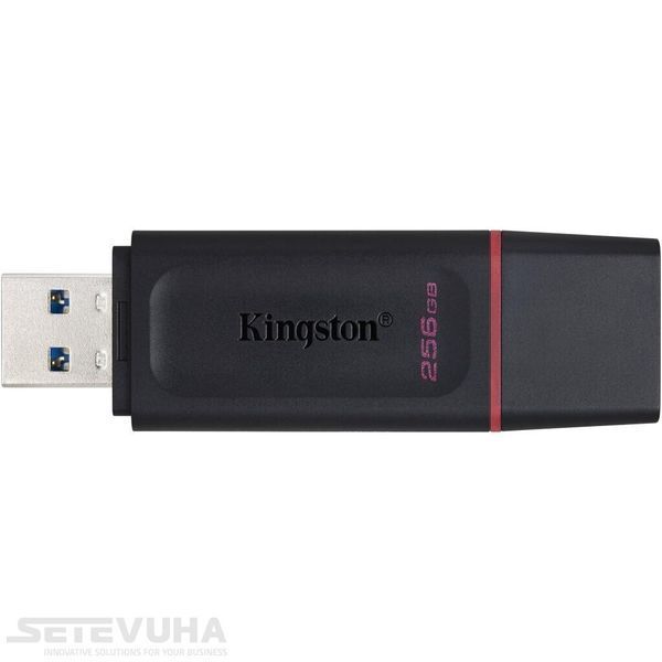 Флеш память USB Kingston DataTraveler Exodia 256ГБ USB 3.2 (DTX/256GB) H00000042129 фото